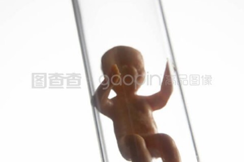 http://yantai.nbgk120.com/post/209.html|烟台捐卵费用