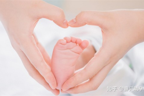 夏天烟台捐卵宝宝发烧 莫要急