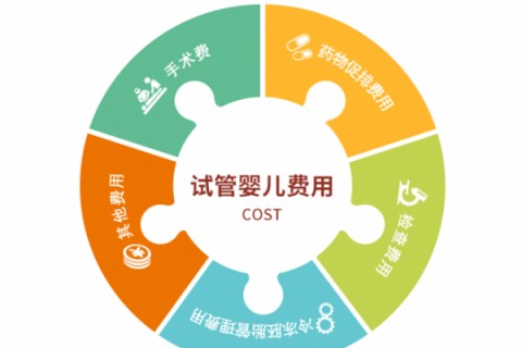 烟台捐卵宝宝肚痛，父母该怎么办？